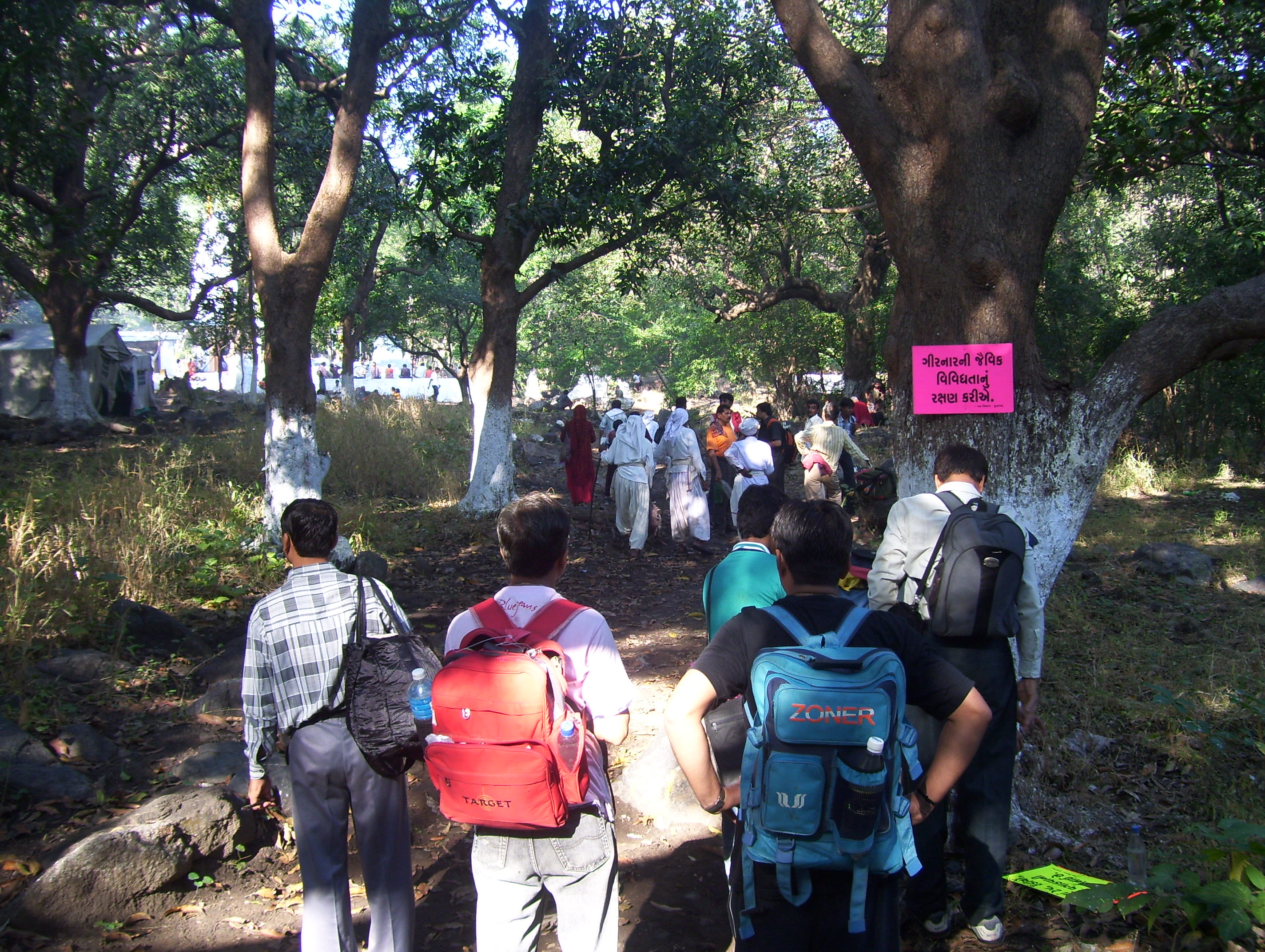 Lili Parikrama to Mt. Girnar begin today | Junagadhlive Information -  Advertising, Directory, Events, Tours & Travles
